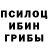 Галлюциногенные грибы Cubensis AKH pro