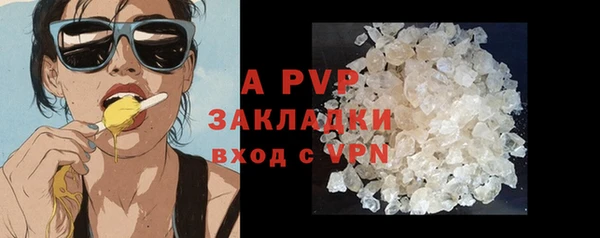 гашик Корсаков