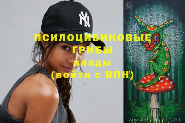 ПСИЛОЦИБИНОВЫЕ ГРИБЫ Коряжма