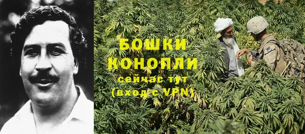 гашик Корсаков