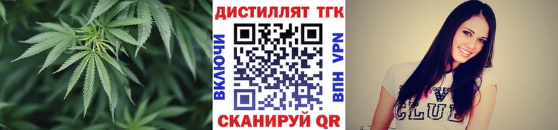 ТГК концентрат  Купить где  Ладушкин 